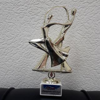 Проект 