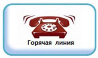 Горячая линия по вопросам подготовки детских садов и школ города к новому учебному году